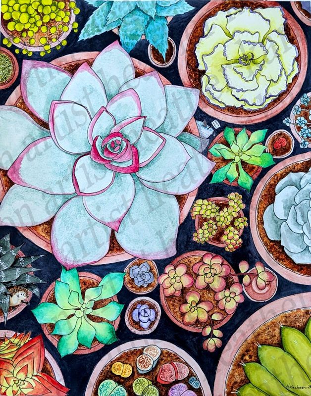 study of succulents Succulent Study