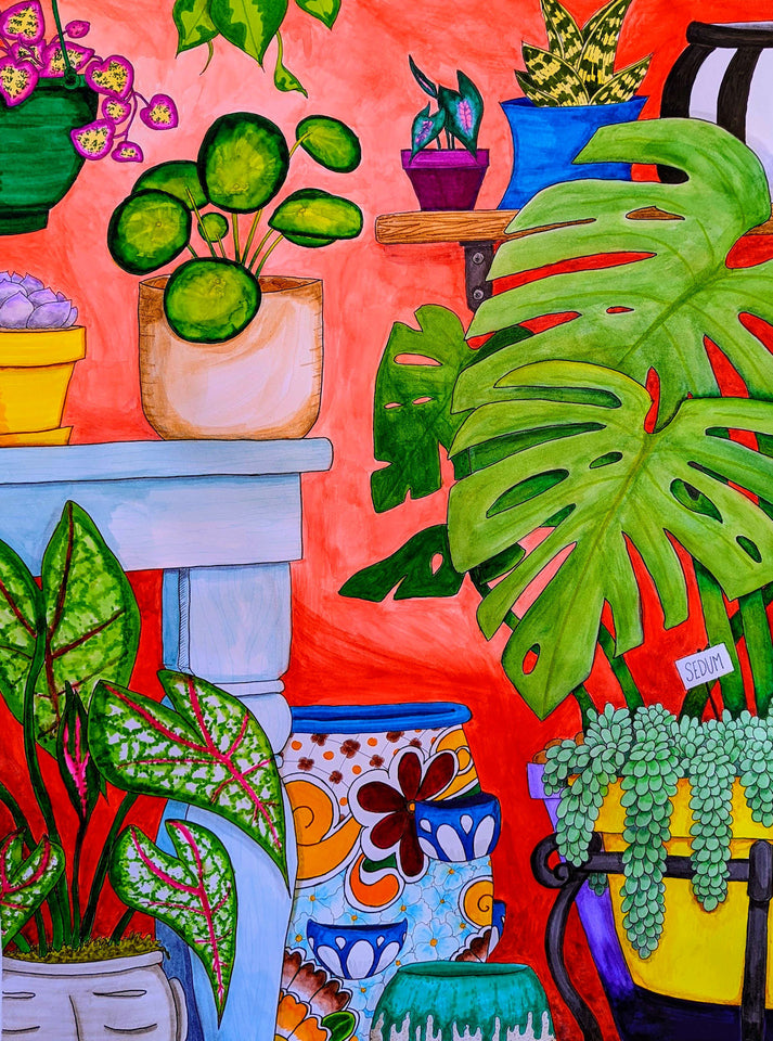 A watercolor painting of houseplants that are finicky and difficult to care for.  There are multiple colorful pots, including a Talavera pot.  Monstera, caladium, peperomia, string of hearts, tiger aloe, burro tail, and global green pothos are represented