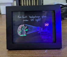 Load image into Gallery viewer, MINI: Fun Fact