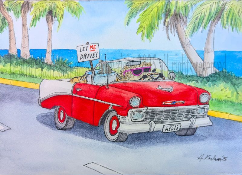 GREETING CARD: Cruisin'